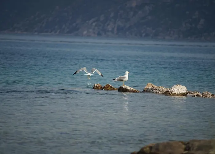 Belvedere Διαμέρισμα